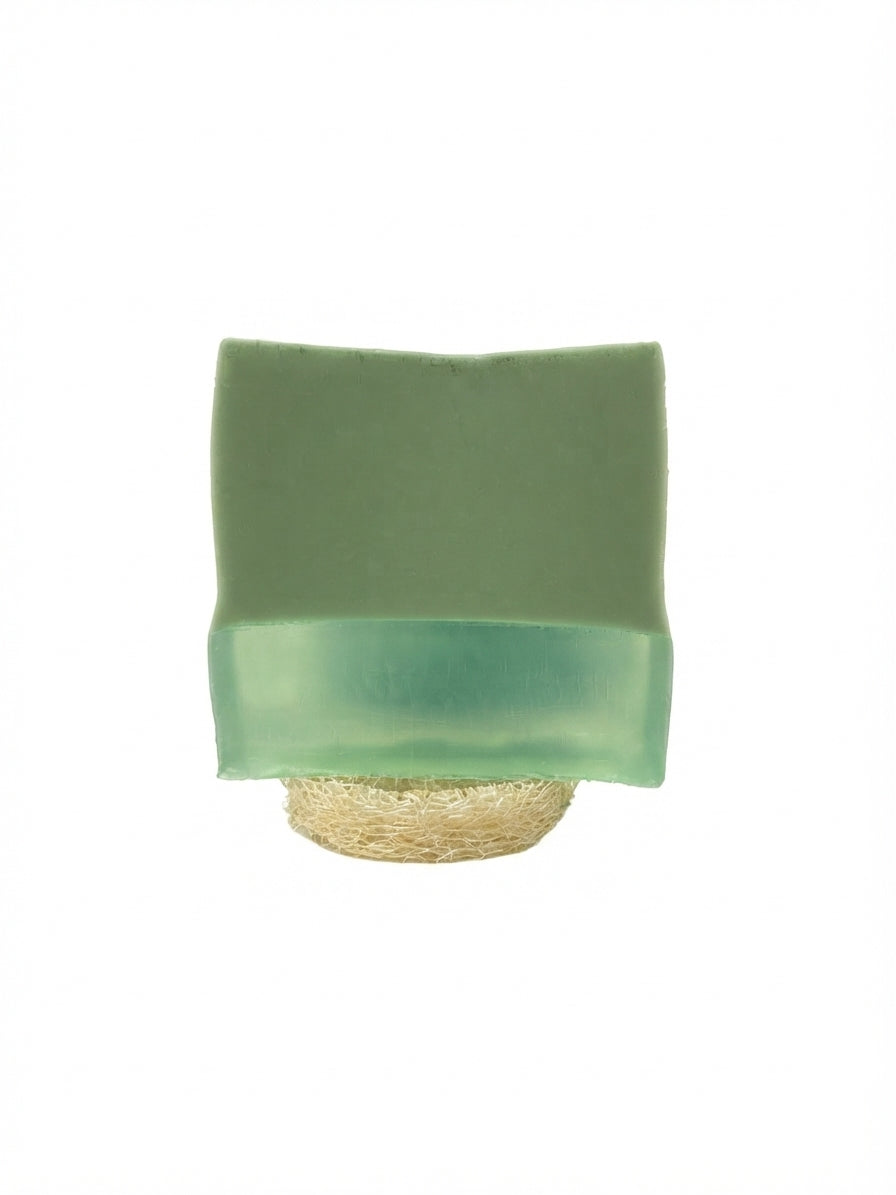 Aloe Vera Body Lotion Perfumed Soap