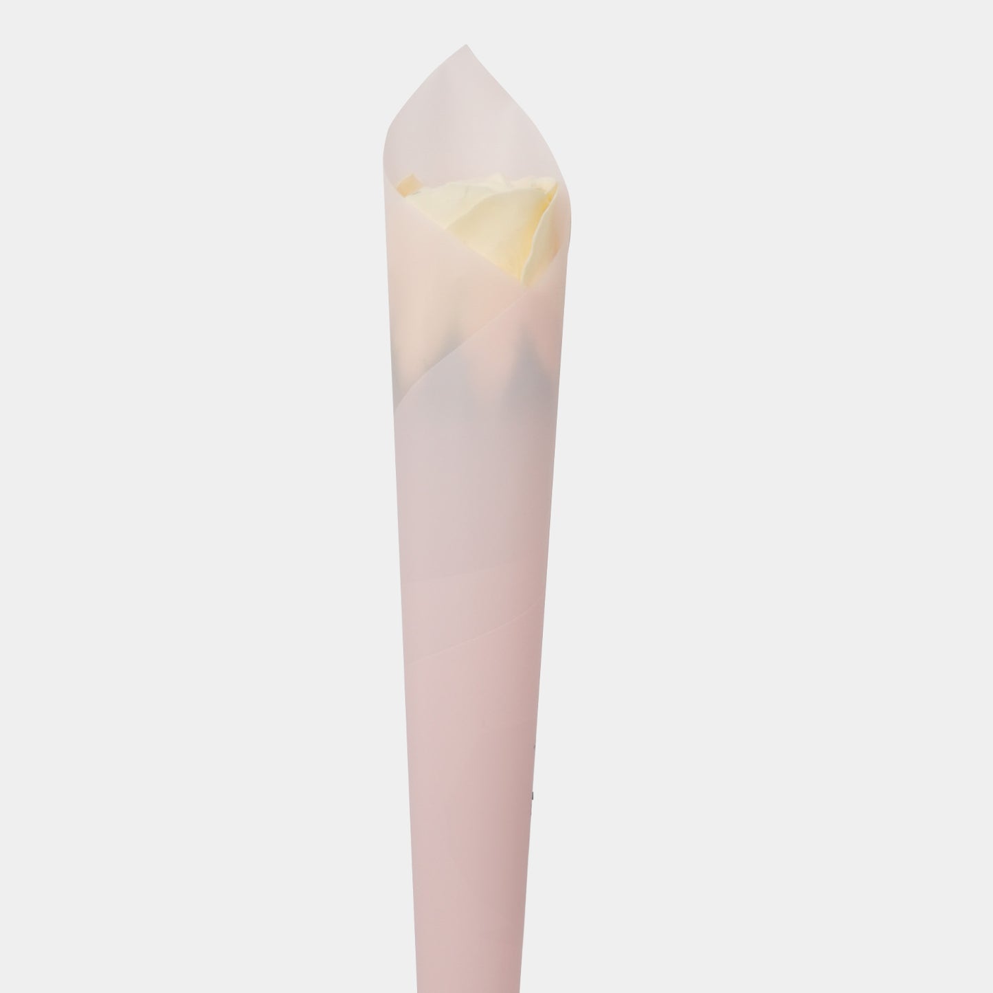 Small Beauty Single Rose Soap - White