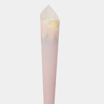 Small Beauty Single Rose Soap - White