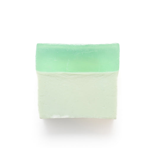 Body Lotion Aloe Vera Perfumed Soap