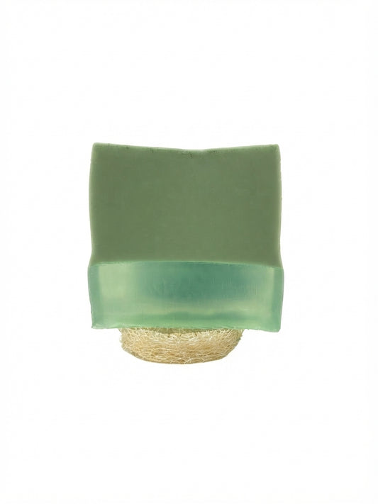 Aloe Vera Body Lotion Perfumed Soap